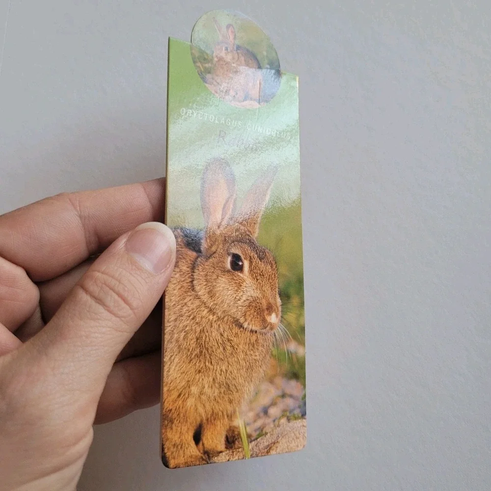 Cardmarks Bunny Rabbit Wild Animals Magnetic Magnet UK Company If #2407, Y2k 00s